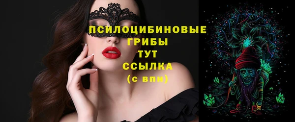 шишки Бабаево
