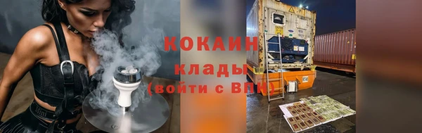 шишки Бабаево